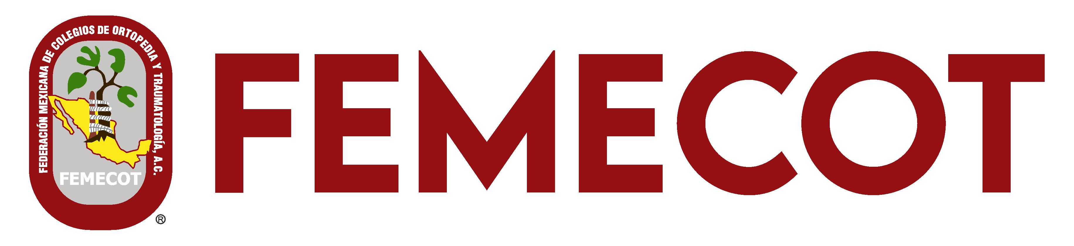 FEMECOT Logo