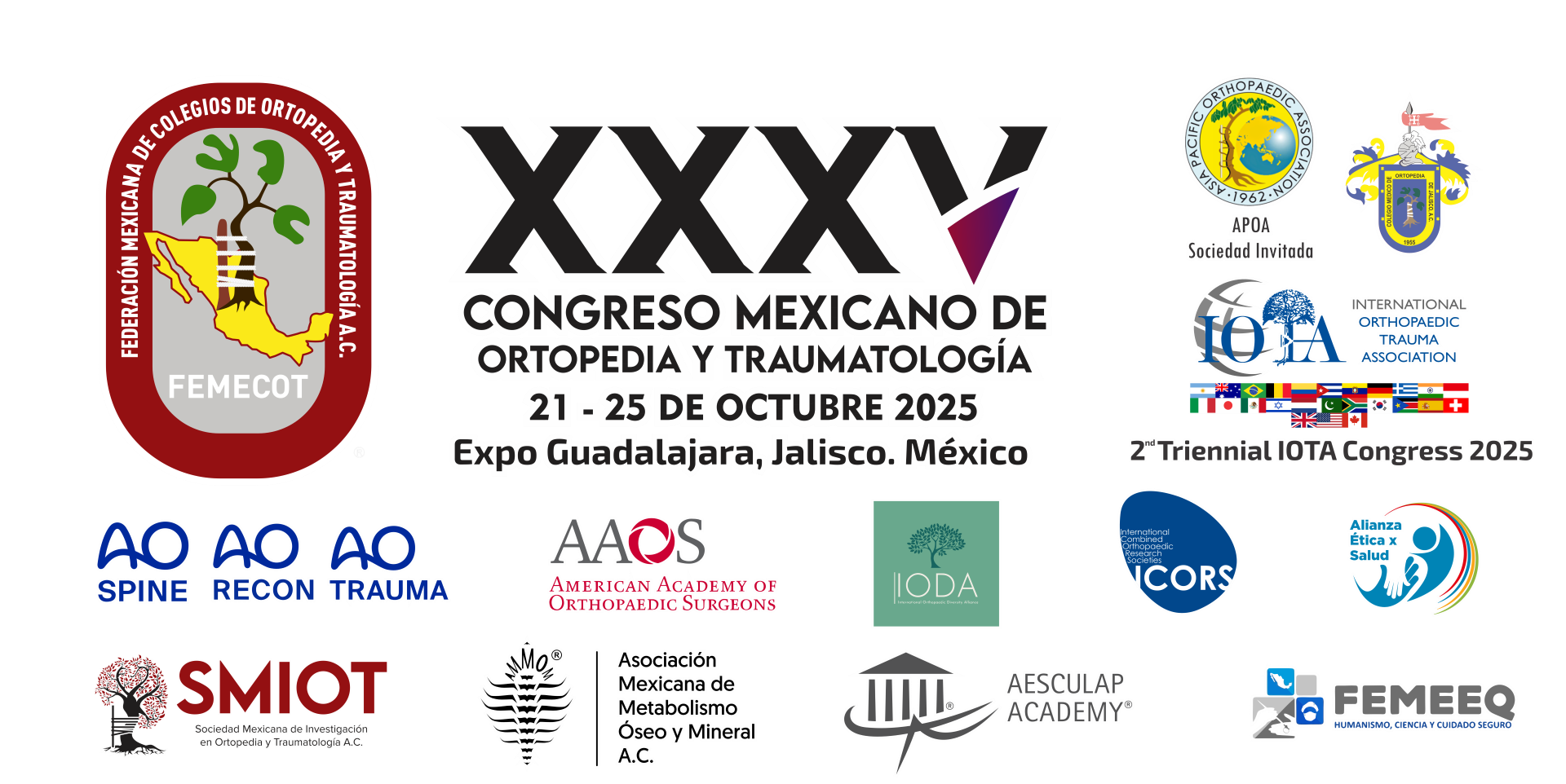 Informaci n De Orthoinfo From AAOS FEMECOT Informaci n De Orthoinfo From AAOS FEMECOT